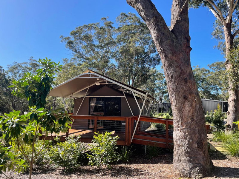 Port Stephens Koala Sanctuary, One Mile, Australia