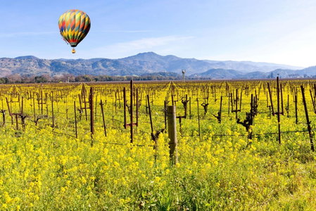 The Meritage Resort and Spa, Napa, Estados Unidos