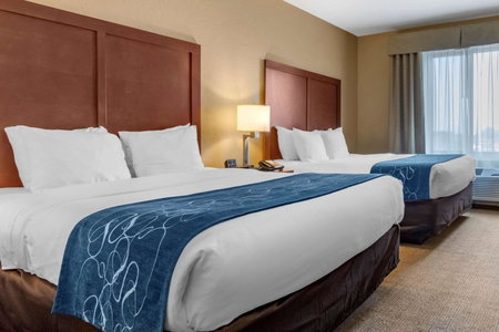 Comfort Suites Airport-University, Bozeman, United States