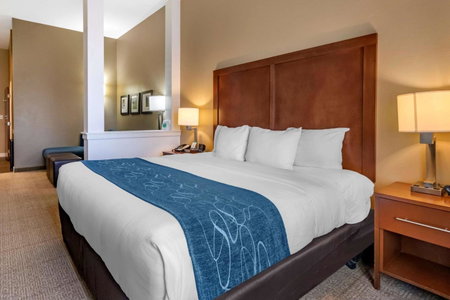 Comfort Suites Airport-University, Bozeman, United States
