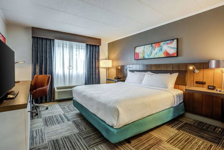 Hilton Garden Inn Boston Waltham, Waltham, Соединённые Штаты