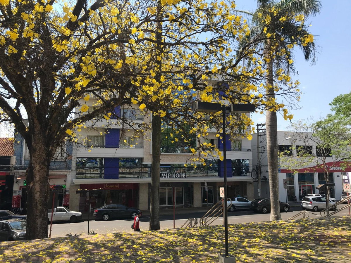 Hotel · Vip Hotel, Jau