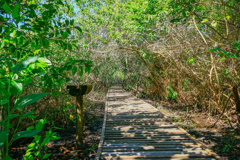 Pousada Ecologica Bangalo de Praia, Itacimirim, Brazil
