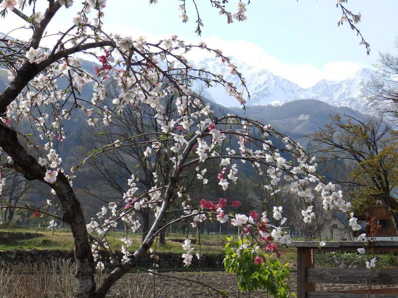 Heidihof Hotel, Hakuba, Japan