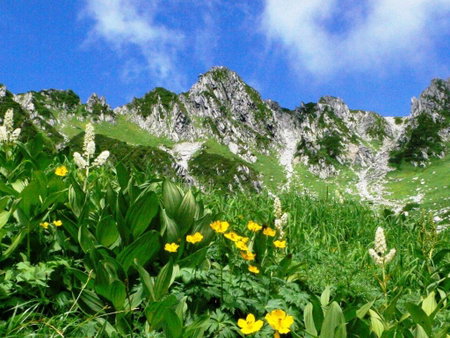 Komagane Kogen Resort Linx, Ina, Япония