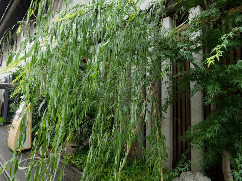 Ryokan Kohro, Kyoto, Japan