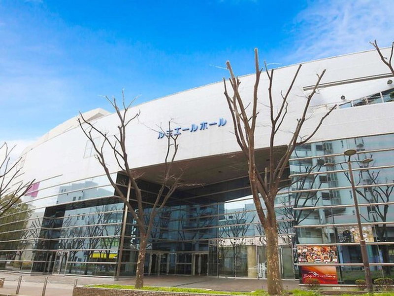 Hotel Livemax Osaka Kadoma, Kadoma, Japon
