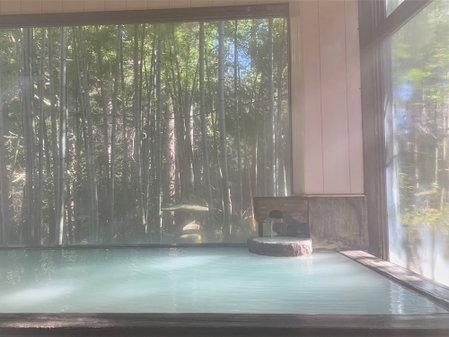 Hakoneonsen Sanso Nakamura, Gotenba, Япония
