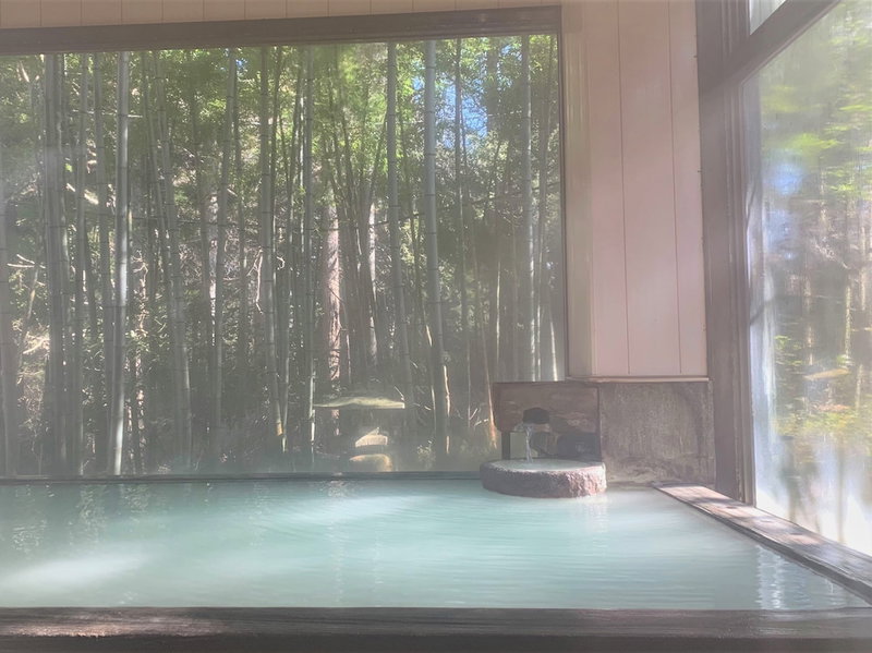 Hakoneonsen Sanso Nakamura, Gotenba, Япония
