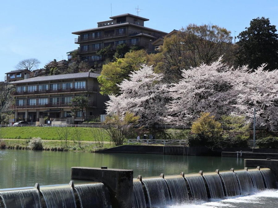 Yuyaruru Saisai, Nonoichi, Japan