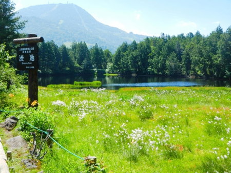 Shiga Kogen Lodge, Nakano, Japan