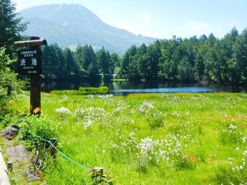 Shiga Kogen Lodge, Nakano, Japan