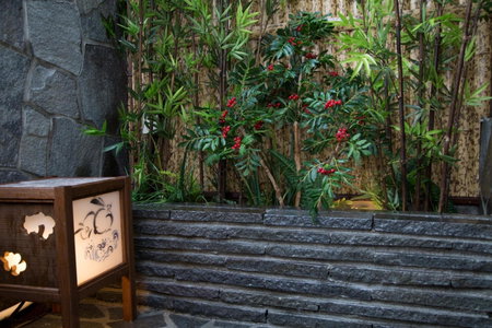 Dormy Inn Izumo, Izumo, Japan