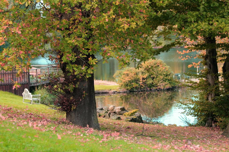 Inn On The Lake, Gravesend, United Kingdom