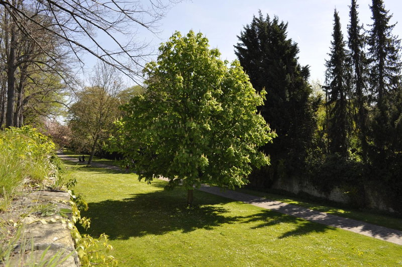 Hotel am Wall, Soest, Allemagne