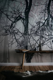 Urbn Dreams, Prenzlauer Berg Bezirk, Germany