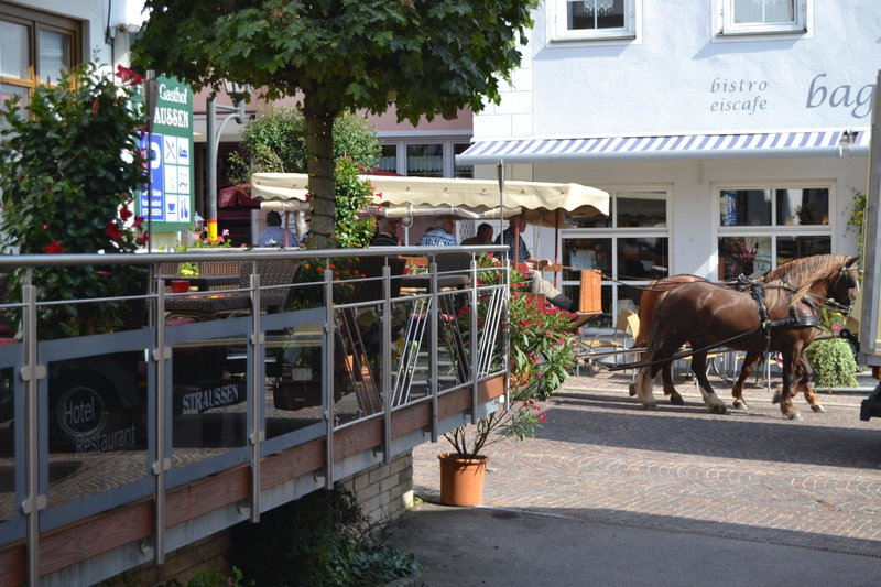 Hotel-Restaurant Straussen, Donauwoerth, Germany