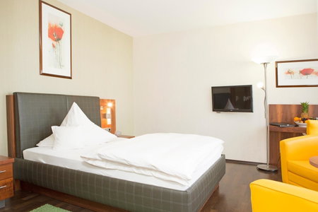 City Hotel Roding, Cham, Germany