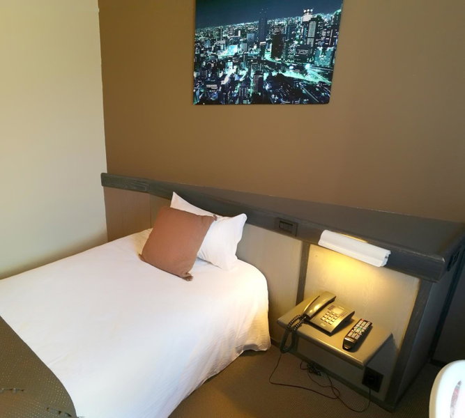 Hotel Gratte-Ciel Ariana, Villeurbanne, France