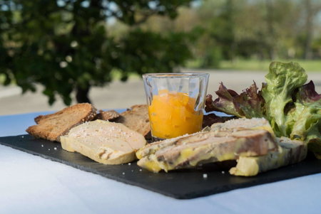 Best Western Plus Le Canard sur le Toit, Tournefeuille, France