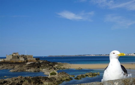 B&B HOTEL Saint-Malo Sud, Saint-Malo, France