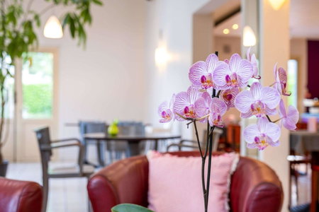 Comfort Hotel Grenoble Meylan, Meylan, France