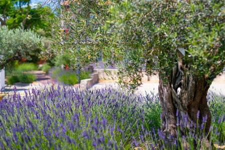 Terre de Provence Hôtel & Spa, Le Pontet, France