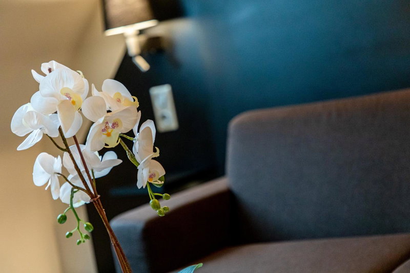 Europe Haguenau – Hotel & Spa, Haguenau, France