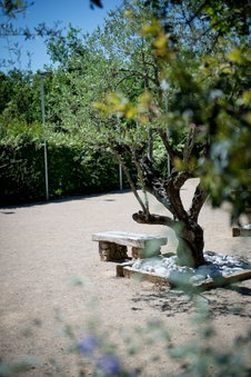 La Vague De Saint Paul, Vence, Francia
