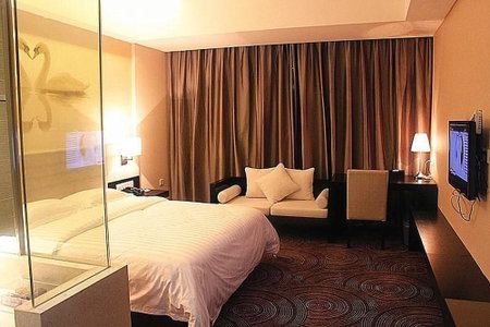 Metropolo Hefei Swan Lake Hotel, Hefei, 中国