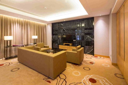 Crowne Plaza Shanghai Anting-20 Minutes drive to National Exhibition and Convention Center & 15 Minutes drive to F1, Taicang, 中国