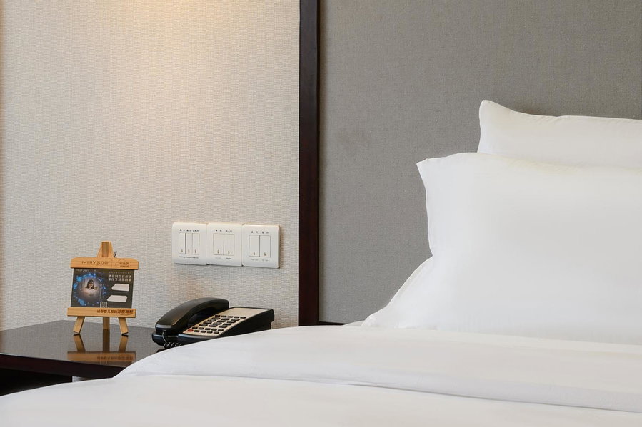 Foshan Rezen Select Pasonda Hotel, Foshan, 中国