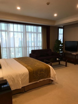 Hongrui Jinling Grand Hotel Hefei, Hefei, 中国