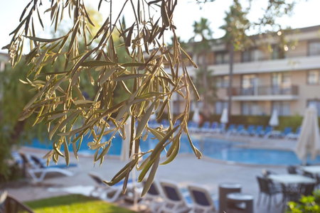 Hotel Eu Bahia Pollença, Pollenca, Spain