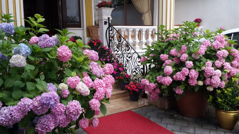 Termal Elit Hotel, Yalova, Turkey