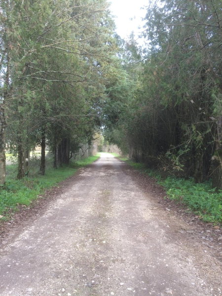 Quinta de Coalhos, Abrantes, Portugal