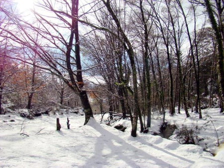 Verde Pinho, Cabeceiras de Basto, Portugal