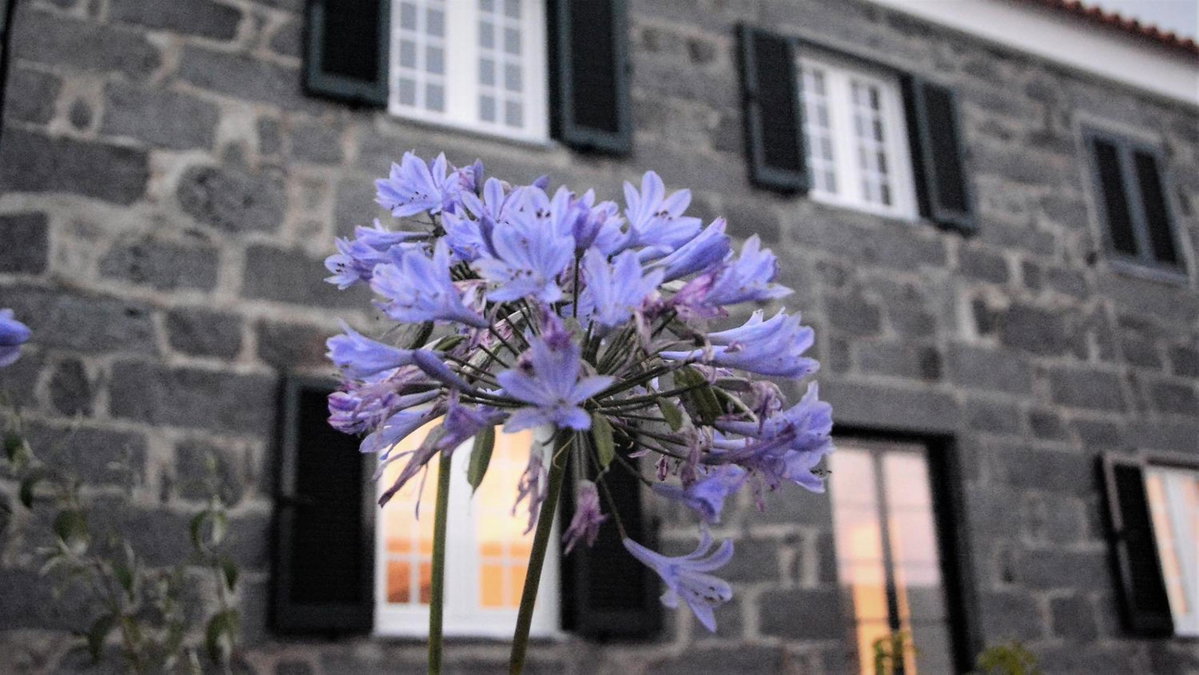 BELO CAMPO - Ilha do Faial (Horta), Португалия