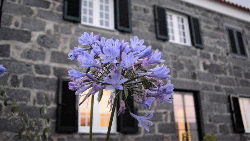 BELO CAMPO - Ilha do Faial (Horta), Castelo Branco, Portugal