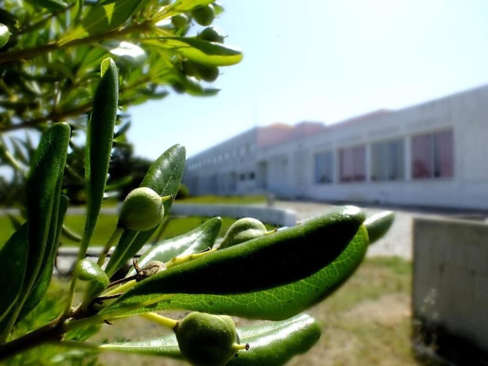 Отель · HI Almograve - Pousada de Juventude - Hostel, Odemira