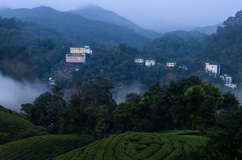 The Grand Cliff Munnar Five Star Classified Resort in Munnar, Kerala, Munnar, Inde