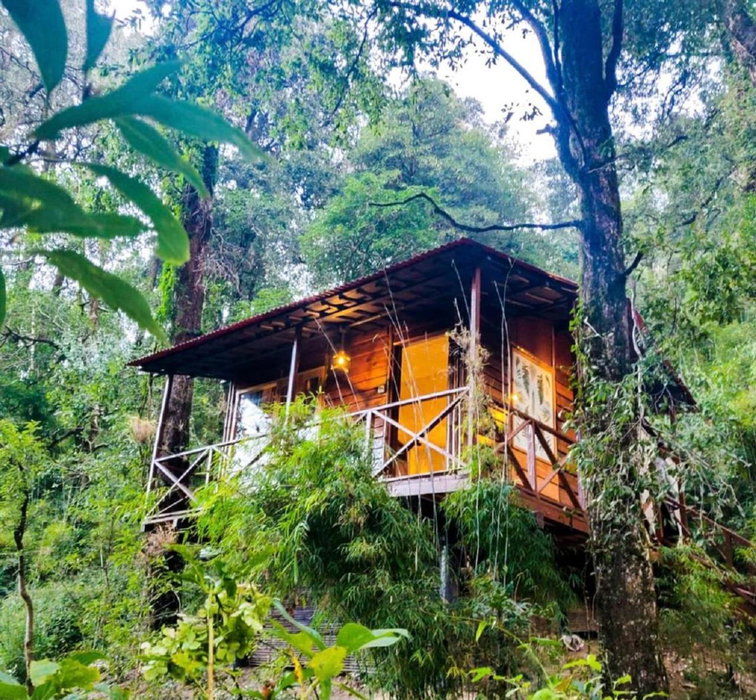 Ayar Jungle Resort, Naini Tal, India