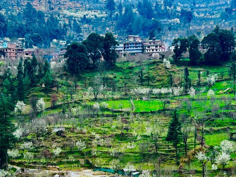 Kasol Hostel, Kulu, India