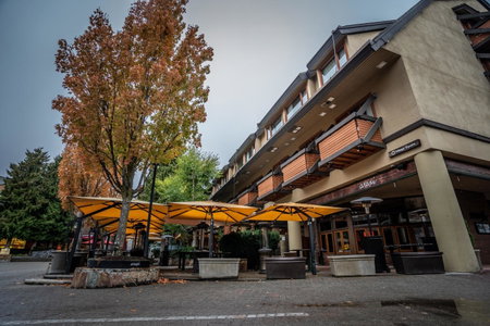 Blackcomb Lodge, Whistler, Canada