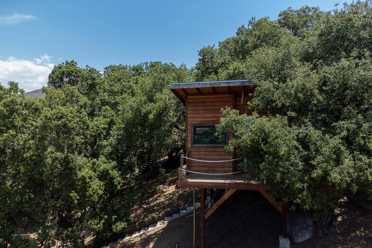 Boskenvid Hotel - Romantic Treehouses & Skypool, Мексика