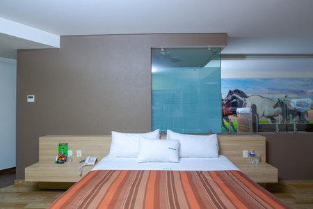 Hotel Xcoco Inn, Tulantongo, Mexico