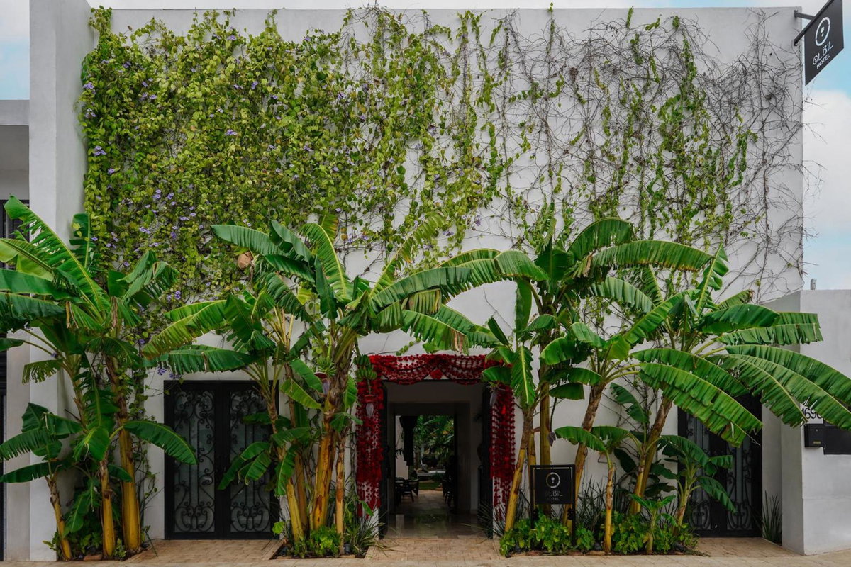 Hotel · Olbil Hotel Boutique, Valladolid