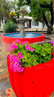 Hotel La Fuente, Saltillo, Saltillo, Мексика
