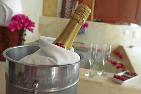 Hacienda Sepulveda Hotel & Spa, Lagos de Moreno, Mexique