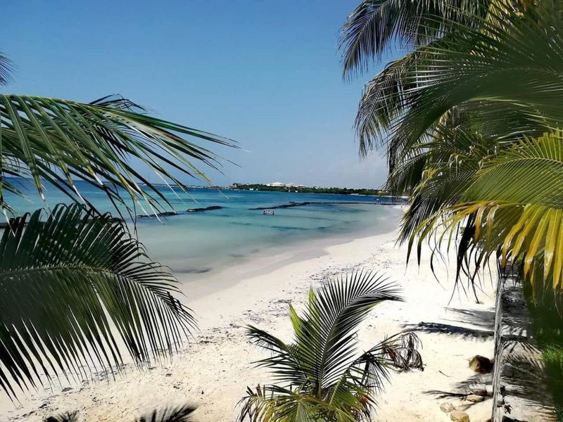 Villas Picalu Studios & Suites, Playa del Carmen, Мексика